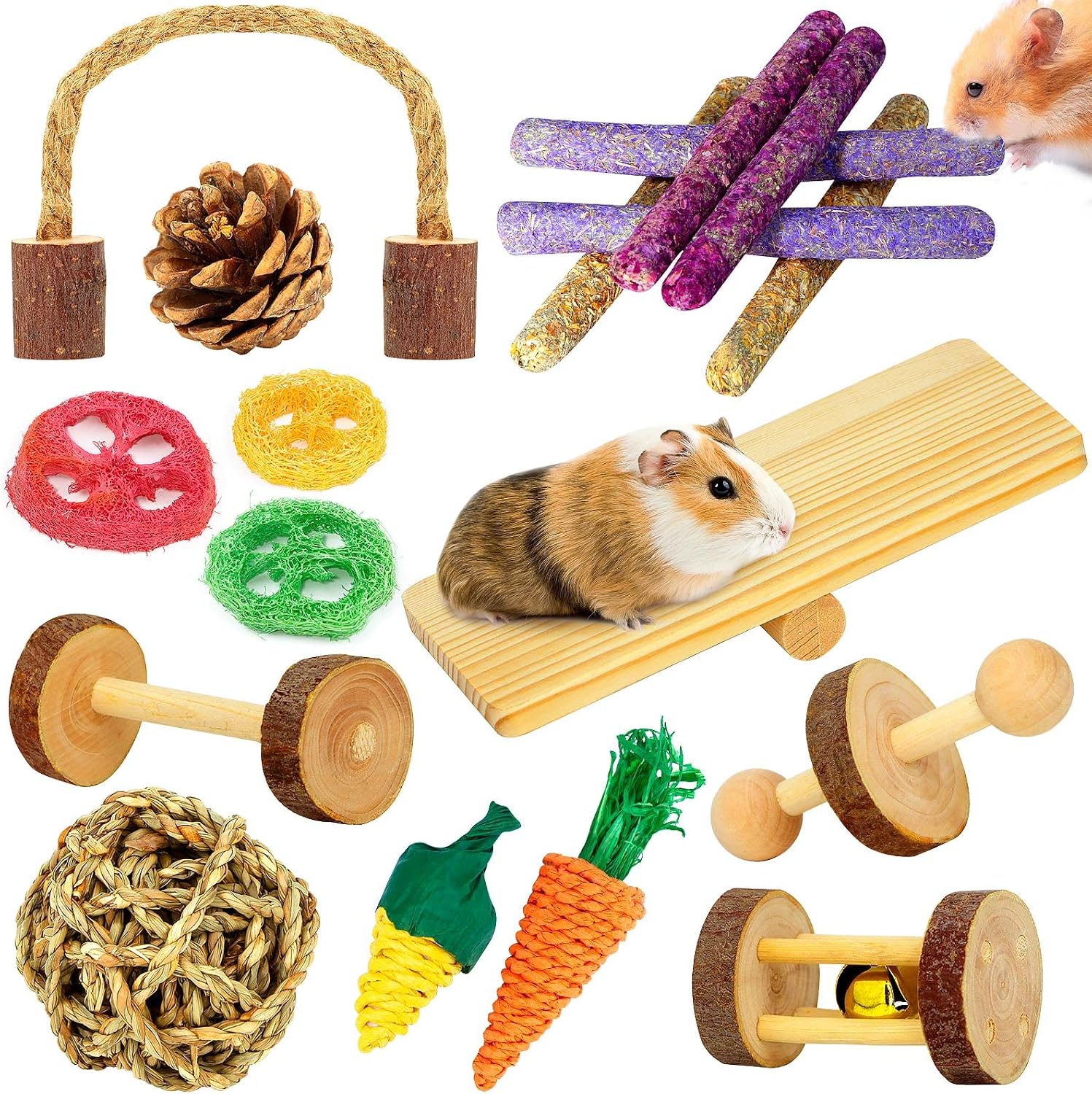 Natural Small Pet Chew & Play Set - 12pc Hamster & Guinea Pig Fun Kit